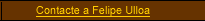 Contacte a Felipe Ulloa